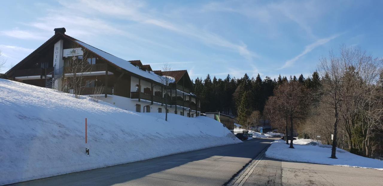 2 Zimmer Mitterdorf Philippsreut Bagian luar foto