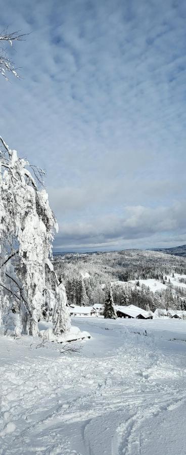 2 Zimmer Mitterdorf Philippsreut Bagian luar foto